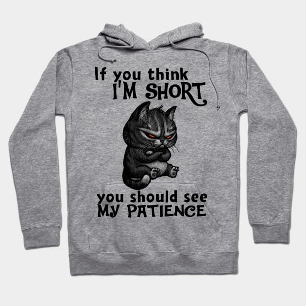 Cat You Should See My Patience Hoodie by Sunset beach lover